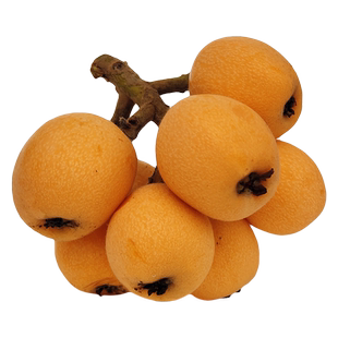 蒙自枇杷5斤/2斤