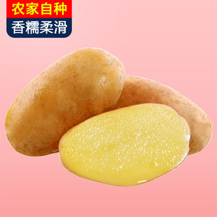 宜昌新鲜小土豆5斤