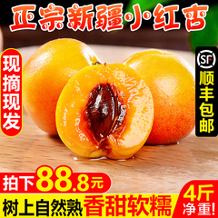 新疆小红杏4斤