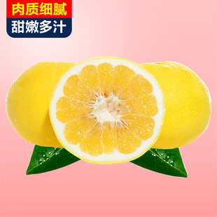 台湾黄金葡萄柚7斤