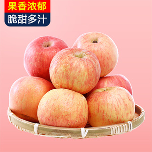山东红富士苹果水果10斤