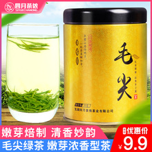 Maojian green tea 50g tender bud strong flavor