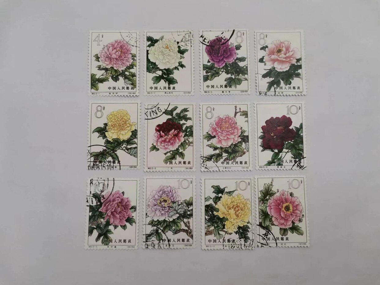 特61牡丹上品-淘宝逛一逛