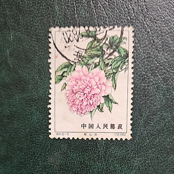 特61牡丹上品-淘宝逛一逛