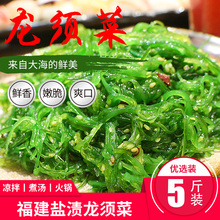 霞浦龙须菜5斤 海菜新鲜海藻菜海藻火锅配菜煮汤凉拌